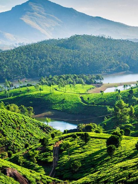 Tailor-made Kerala tours